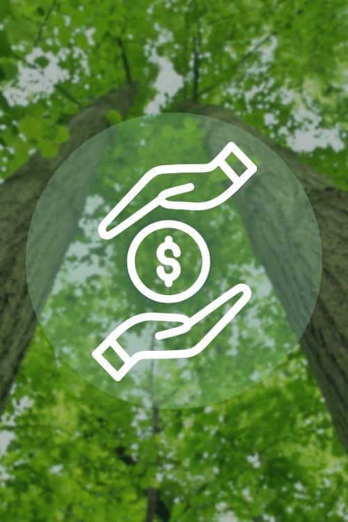 trees in forest with money icon